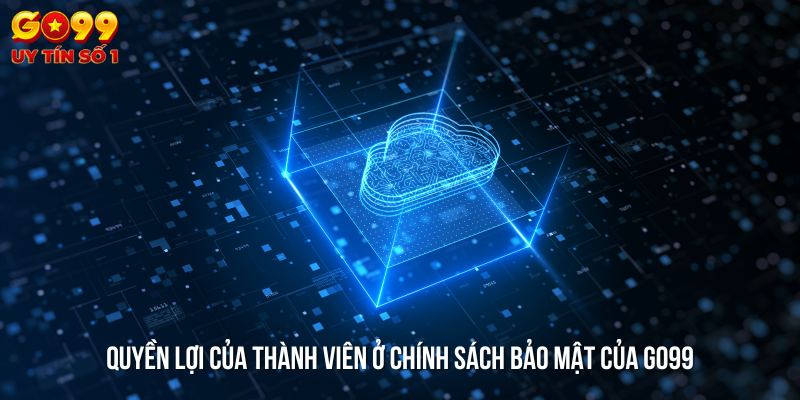 Quyền lợi của thành viên ở chính sách bảo mật của GO99